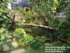 Hồ Cá Koi - Sân Vườn KDC Him Lam Quận 7 - anh 1