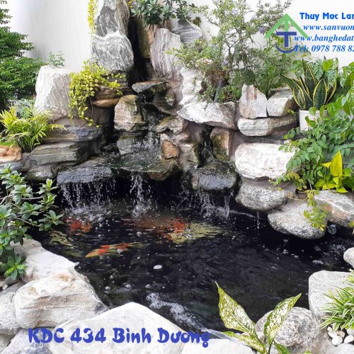 Hồ Cá Koi - Cá Chép Nhật - KDC 434 Bình Dương